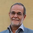 ولی سلجوقیان